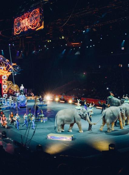Discover the Winter Circus in Paris