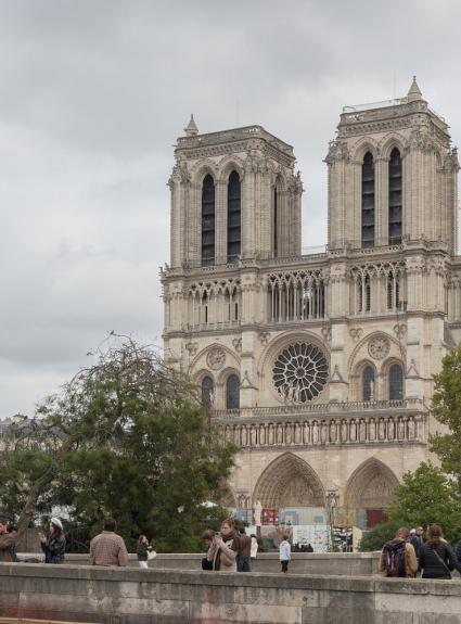 Reopening of Notre-Dame de Paris